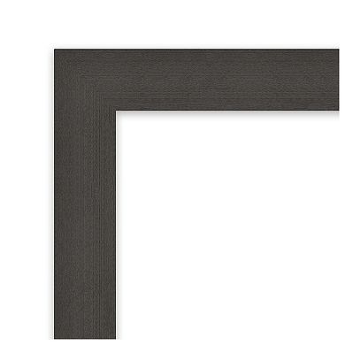 Blaine Light Pewter Narrow Non-beveled On The Door Mirror Full Length Mirror