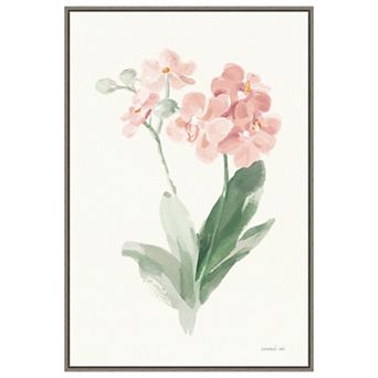 Spring Orchid Ii By Danhui Nai Framed Canvas Wall Art Print