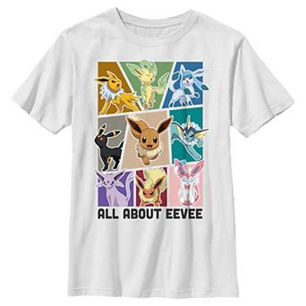 Boys Pokemon All About Eevee Boxes Graphic Tee