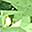 Gold Tone Green