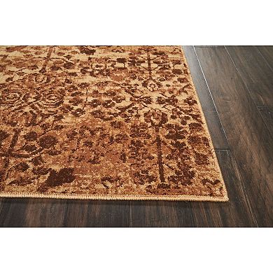 Nourison Somerset Transitional Area Rug