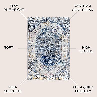 Modern Boho Vintage Area Rug