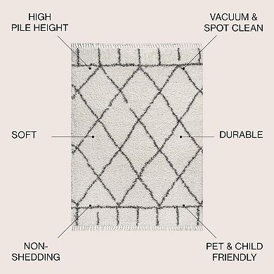 Mercer Shag Plush Tassel Moroccan Geometric Trellis Area Rug