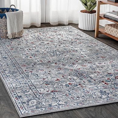 Sierra Modern Vintage Medallion Area Rug