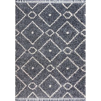 Mercer Shag Plush Tassel Moroccan Diamond Area Rug
