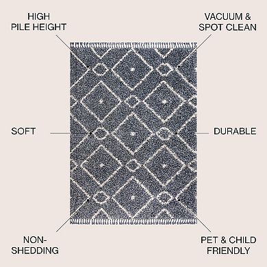Mercer Shag Plush Tassel Moroccan Diamond Area Rug