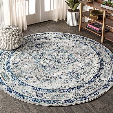 Jerica Modern Vintage Medallion Area Rug