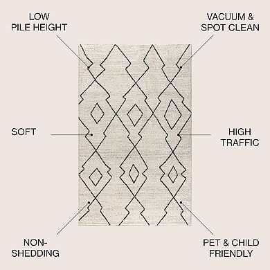 Alia Moroccan Beni Souk Area Rug