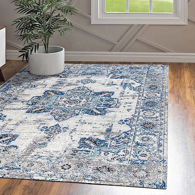 Ashley Modern Boho Vintage Medallion Area Rug