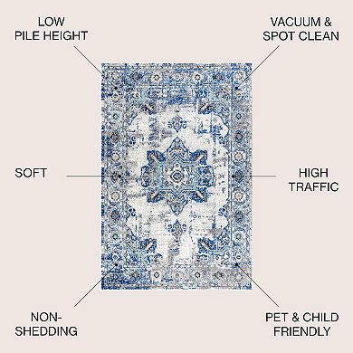 Ashley Modern Boho Vintage Medallion Area Rug
