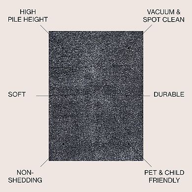 Mercer Shag Plush Area Rug