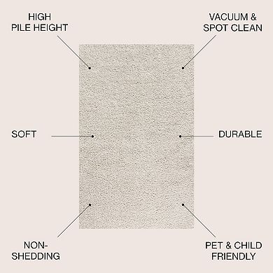 Mercer Shag Plush Area Rug