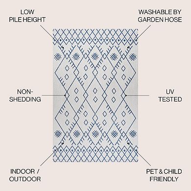 Boho Moroccan Indoor/outdoor Area Rug