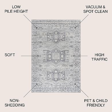 Kasbah Modern Vintage Medallion Area Rug
