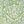 Cream Green