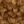 Chestnut