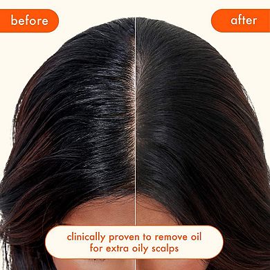 Perk Up Ultra Oil Control Dry Shampoo