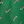 Green Candy Cane