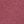 Maroon Rose
