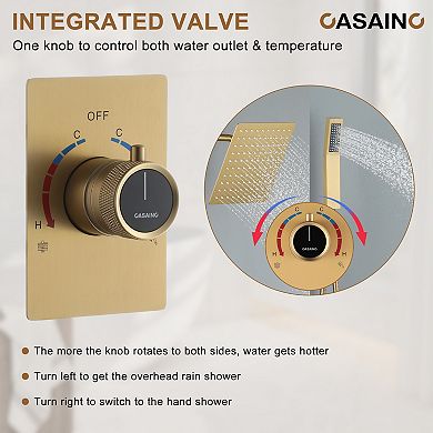Integrated 2 Function Single Handle 1-spray Shower Faucet With Pressure Balance