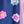 Navy Daisy Multi
