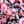 Navy Red Floral Vine