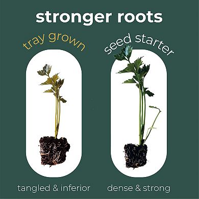 Direct Plant Seed Starters With Seed Starter Kit Or Any Tray