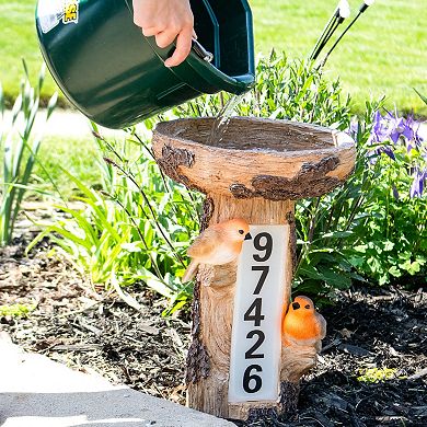 Sunnydaze Staked Country Tree Stump Bird Bath With Solar Address Plate