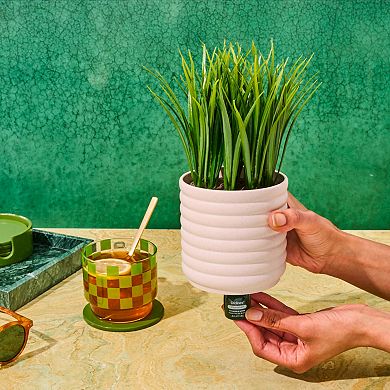 Lifelines Artificial Grass Plant Diffuser