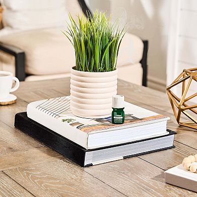 Lifelines Artificial Grass Plant Diffuser