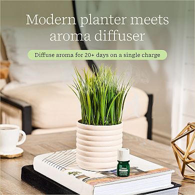Lifelines Artificial Grass Plant Diffuser