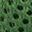 Dark Forest Green