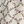 Ivory Elegant Texture