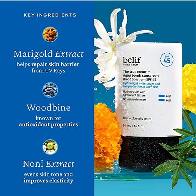 The True Cream Aqua Bomb SPF 45 Korean Moisturizer Face Sunscreen