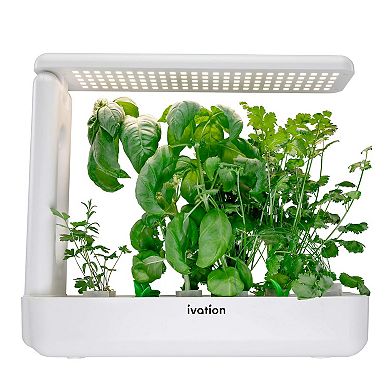 Ivation 5 Replacement Hydroponics Seed Pods For Indoor Herb Growing Kit
