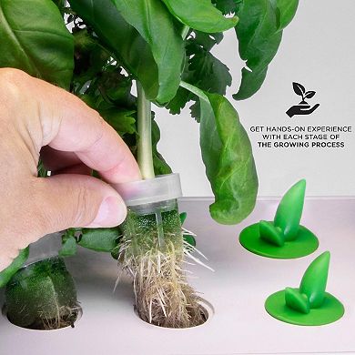 Ivation 5 Replacement Hydroponics Seed Pods For Indoor Herb Growing Kit