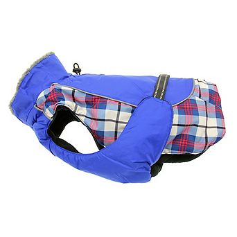 Alpine All-weather Dog Coat