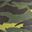 Brush Camo