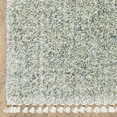 StyleHaven Aurelia Static Solid Shag Tassel Fringe Area Rug