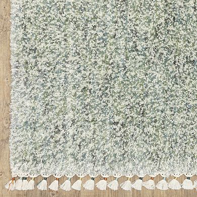 StyleHaven Aurelia Static Solid Shag Tassel Fringe Area Rug