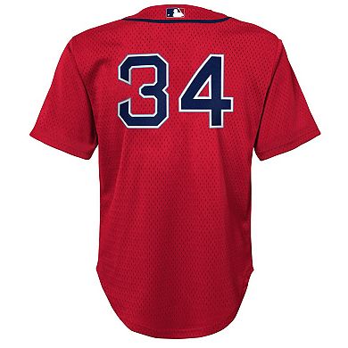 Preschool Mitchell & Ness David Ortiz Red Boston Red Sox Cooperstown CollectionÂ Mesh Batting Practice Jersey