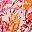 Orange Pink