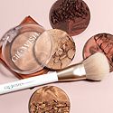 Cheek Brushes