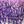 Purple Silver