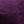 Plum Purple