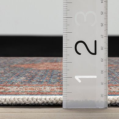 Well Woven Asha Lilith Vintage Persian Area Rug