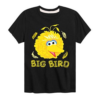 Boys 8-20 Sesame Street Big Bird Face Graphic Tee