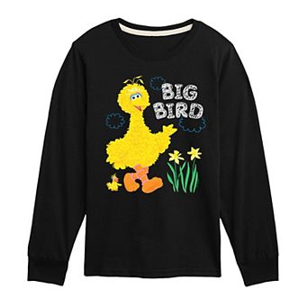 Boys 8-20 Sesame Street Big Bird Daffodils Long Sleeve Graphic Tee
