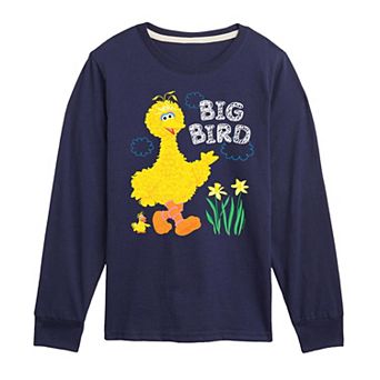 Boys 8-20 Sesame Street Big Bird Daffodils Long Sleeve Graphic Tee