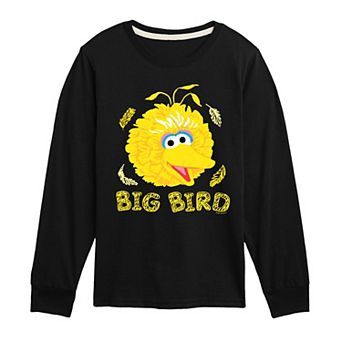 Boys 8-20 Sesame Street Big Bird Face Long Sleeve Graphic Tee